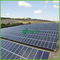 Эстетика 15 MW солнечных электростанций с алюминиевым кронштейном