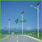 Уличные светы панели солнечных батарей СИД IP65 20W энергосберегающие с 5M Q235 Поляк